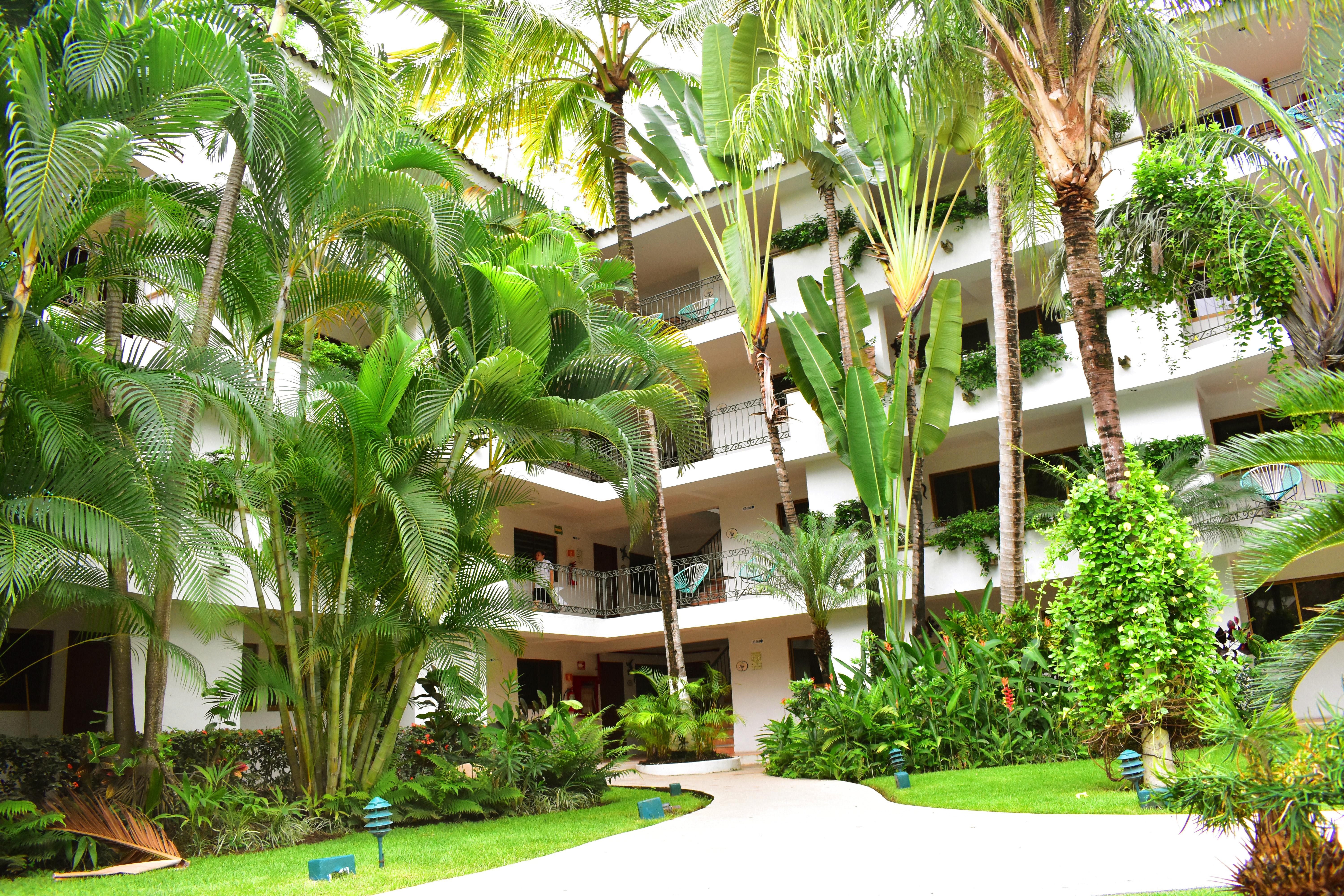 Hotel Casa Iguana Mismaloya Puerto Vallarta Dış mekan fotoğraf